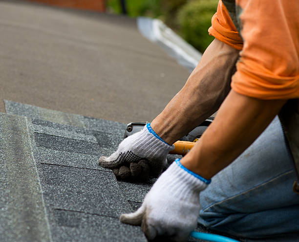 Best Roof Maintenance Services  in Saxapahaw, NC