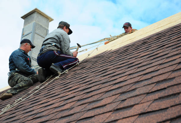 Best Shingle Roofing Installation  in Saxapahaw, NC